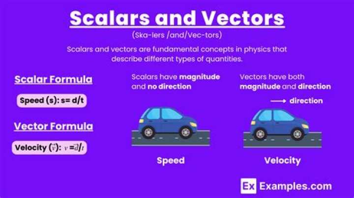 Why is the derivative of scalar with respect to vector a vector and not a scalar?